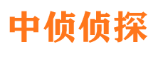 临港找人公司